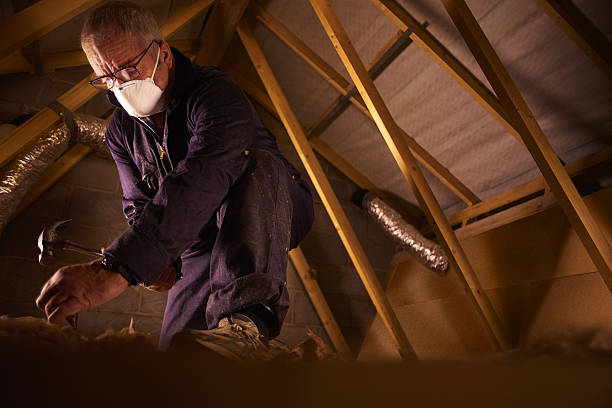 Best Cellulose Insulation in Blandon, PA